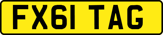 FX61TAG