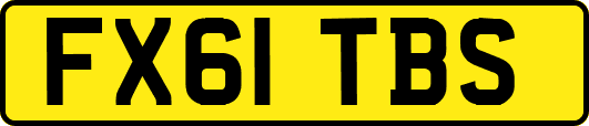 FX61TBS