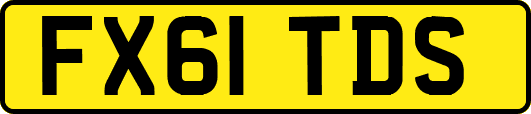 FX61TDS