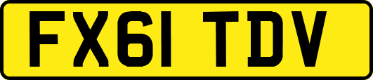 FX61TDV