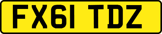 FX61TDZ