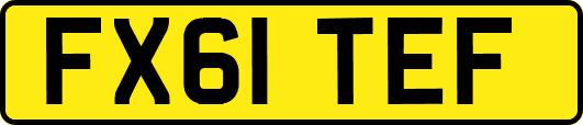 FX61TEF