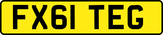 FX61TEG