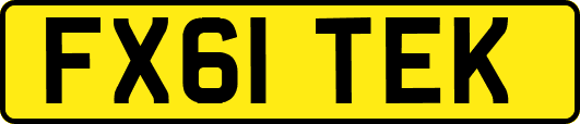 FX61TEK