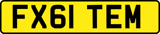 FX61TEM