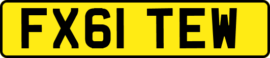 FX61TEW