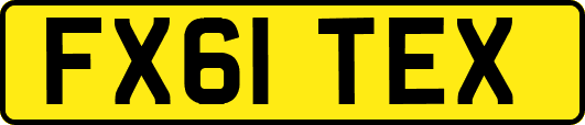 FX61TEX