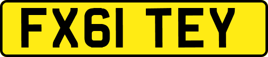FX61TEY