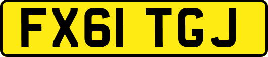 FX61TGJ