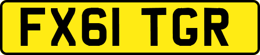 FX61TGR