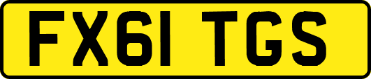 FX61TGS