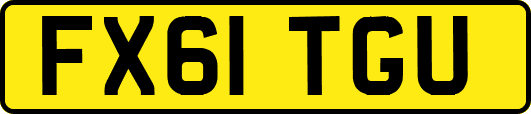 FX61TGU