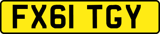 FX61TGY