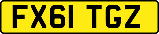 FX61TGZ