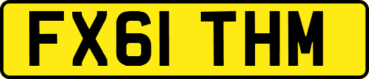 FX61THM
