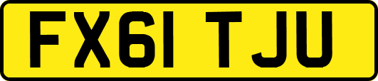FX61TJU
