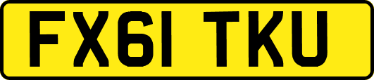 FX61TKU