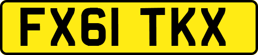 FX61TKX