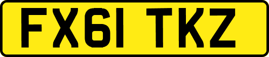 FX61TKZ