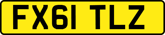 FX61TLZ