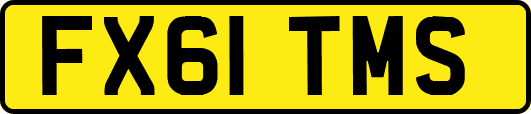 FX61TMS