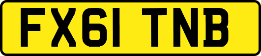 FX61TNB