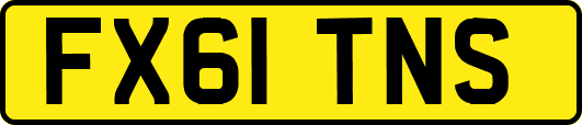 FX61TNS