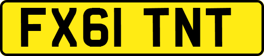 FX61TNT