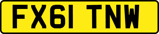 FX61TNW