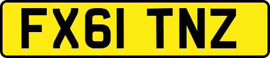 FX61TNZ