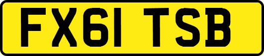 FX61TSB