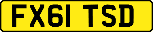 FX61TSD