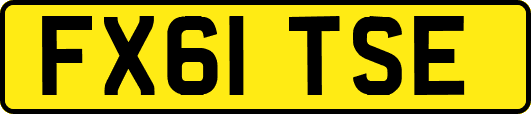 FX61TSE