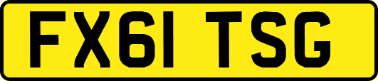 FX61TSG