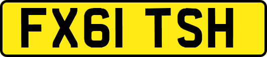 FX61TSH