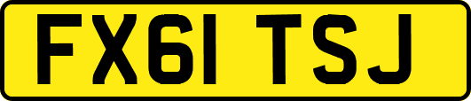 FX61TSJ