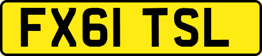 FX61TSL