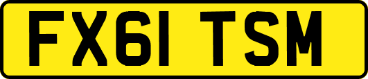 FX61TSM