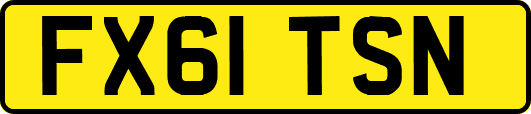 FX61TSN