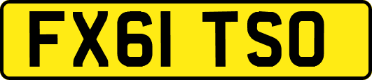 FX61TSO