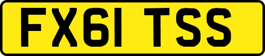 FX61TSS