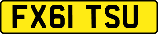 FX61TSU