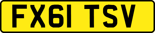FX61TSV