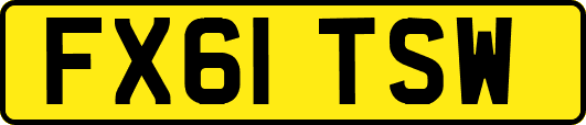 FX61TSW