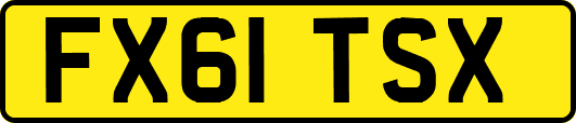 FX61TSX