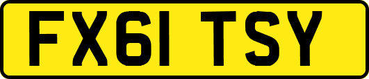 FX61TSY