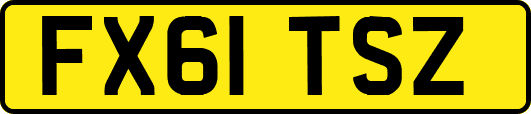 FX61TSZ