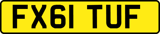 FX61TUF