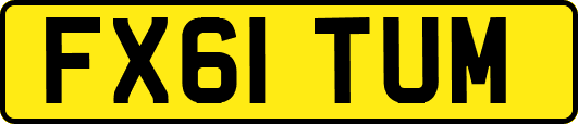 FX61TUM