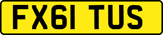 FX61TUS